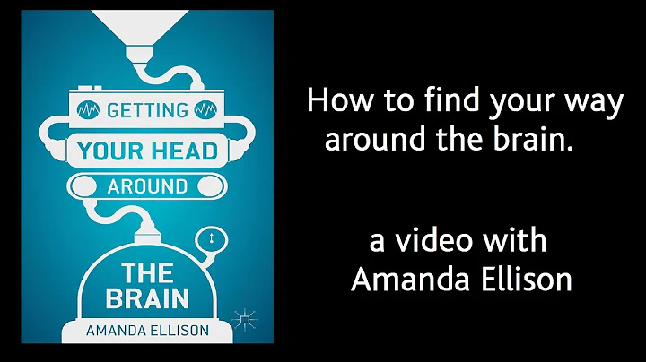 How to find your way around the brain Part 1: Aman...