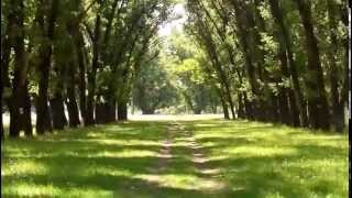 Fly IQ451 video test stock camera soft screenshot 5