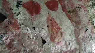 History  or Mystery are these taino petroglyphs hidden in plain sight. 