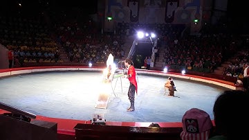 Xiếc tổng hợp tại Rạp xiếc trung ương