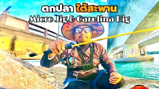 EP.82 ตกปลาใต้สะพาน ภูเก็ต | Micro jig | Carolina rig