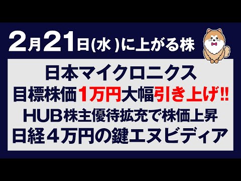 明日2月21日上がる株。日本マイクロニクスレーティング１万円に引き上げ。ハブ株主優待拡充、日経平均４万円の鍵、エヌビディア決算について