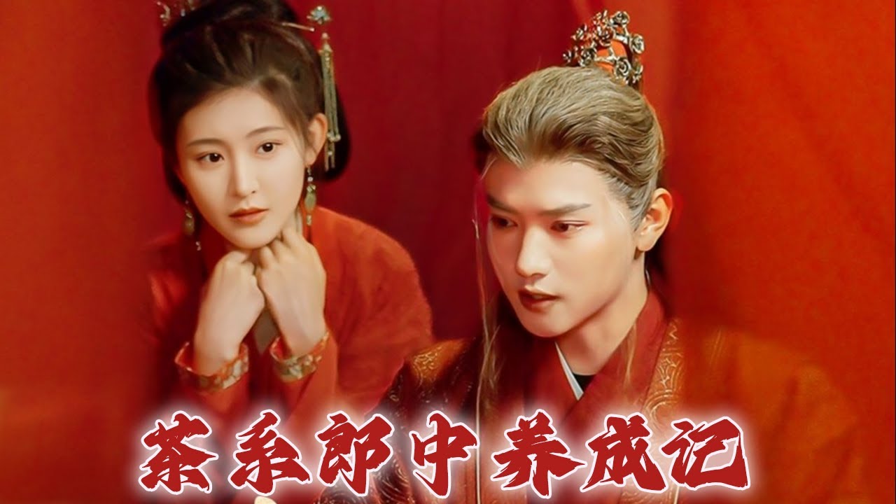 茶系郎中养成记：都市爱情的温暖故事