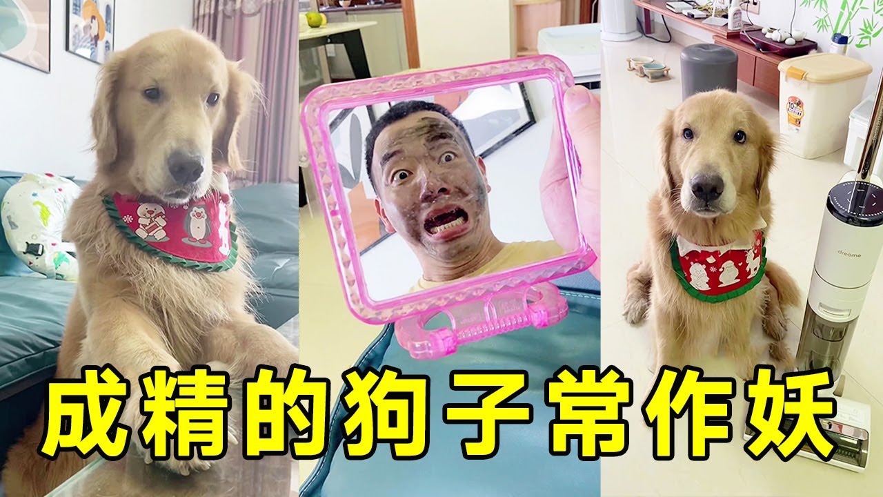 Я никогда не ожидал, что на этот раз это было рассчитано... # В погоне за едой паровая мойка T12 #