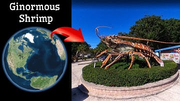 Ginormous Shrimp on Google Earth and Google Maps 🌎