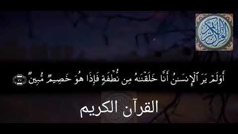 أخر سورة يس بصوت القارئ مصطفى محمد