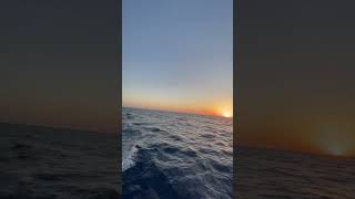 Scenic Sunrise Sail in the Bay of Biscay with Bow-Riding Dolphins