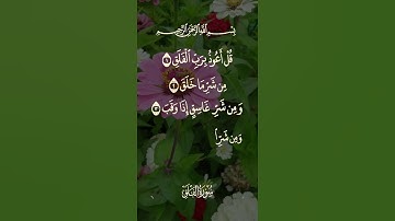 سورة الفلق بصوت الشيخ عبدالباسط عبدالصمد #القرآن_الكريم #quran #عبدالباسط_عبدالصمد