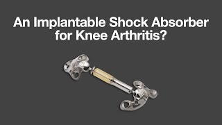 Misha Knee System for Knee Arthritis - An implantable shock absorber