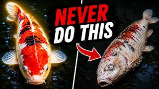 The Biggest Mistake New Koi Owners Make