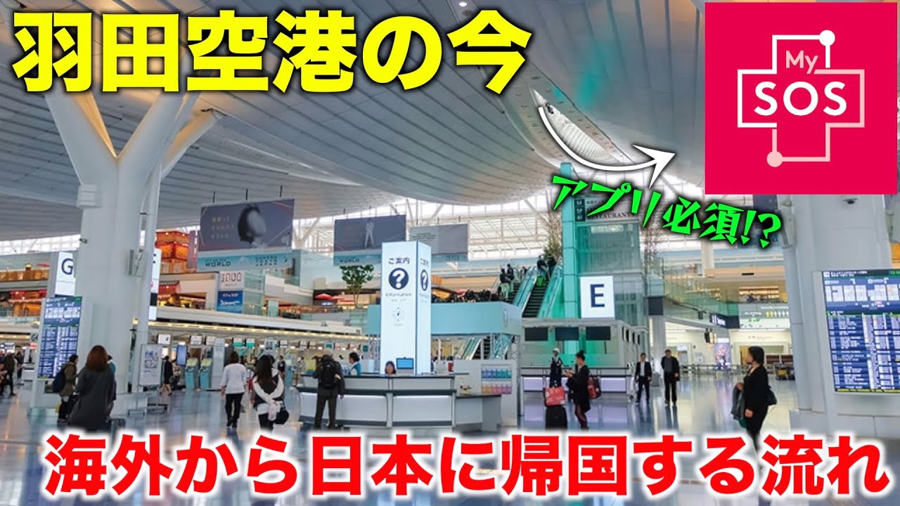 【海外からの帰国】羽田空港へ入国する際の