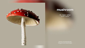 Houdini & Redshift tutorial: mushroom part I