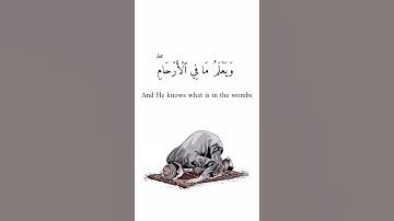 أواخر سورة لقمان / بصوت الأسر الشيخ ياسر الدوسري 🍃🤍