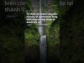 X5 năng suất làm việc với quy trình tự động hóa AI (OpenClaw) ⚡