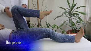 Nörolojik Muayene Kas Gücü Muayenesi - Alt Ekstremiteler