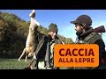 Caccia alla lepre: in montagna con i segugi italiani