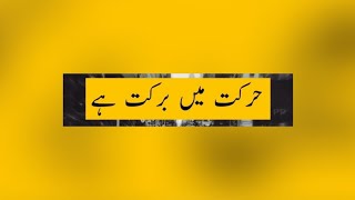 Harkat Main Barkat Hai - Daily Routine - Vlog - Live With Nazish