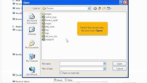 How to update the site logo in DotNetNuke - DotNetNuke Tutorials