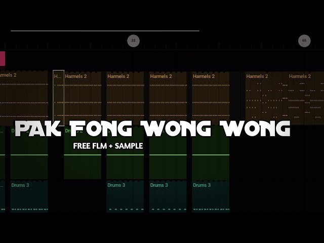 Free flm + sample + acapella Dj Pak fong wong wong Breakdutch class=