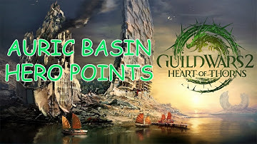 Guild Wars 2 : Auric Basin Hero Points Guide