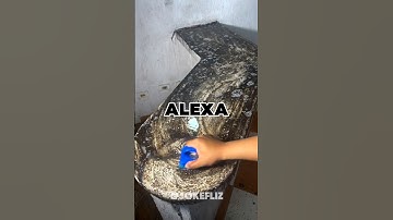 Siri hate Alexa 💀 @CodeJohan