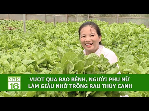 Video: Gà Livensky: mô tả ngoại hình, đặc điểm, đặc điểm khác biệt