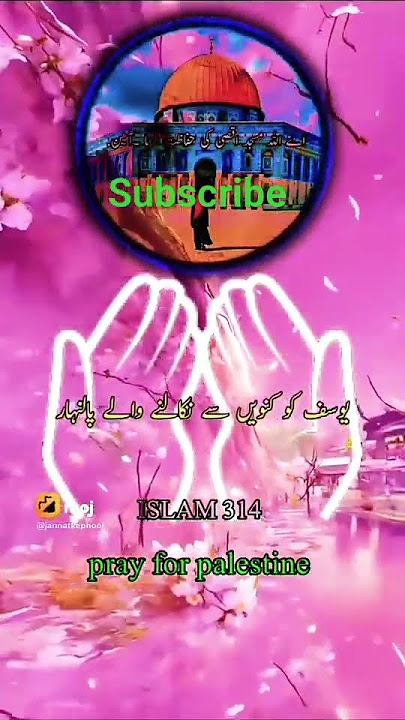 Pray For Palestine 🤲 #shorts# Aleha Begum channel.