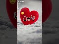 تكبري وزيدي بدلالج بنين