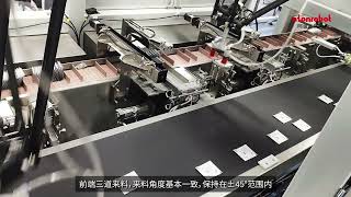 Pharmaceutical sachets cartoning solution