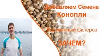 Сыроедение при рассеянном склерозе. Добавляем коноплю. Видео-7 Сыроедение при рассеянном склерозе. Добавляем коноплю. Видео-7
