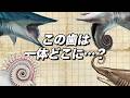 100年間迷走を続けたヘリコプリオン復元史！