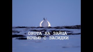 Охота на зайца ночью с засидки. Немного практики с добычей. Охота на зайца ночью с засидки. Немного практики с добычей.