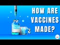 Understanding Vaccines and Their Development