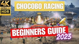 FFXIV Chocobo Racing Guide