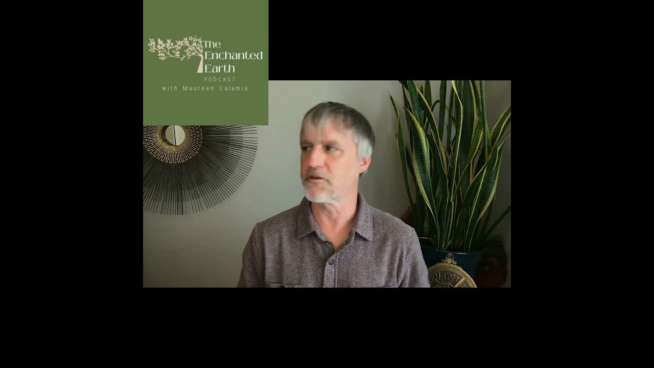 Experiential Gut-Based Relationship with the Planets - Gemini Brett - 