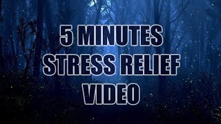 Fireflies Forest Night Woodenboxlwp screenshot 5