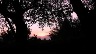 Porcupine Tree - Lazarus Porcupine Tree - Lazarus