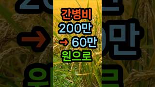 내년부터 간병비 건강보험 적용 지원 시작,간병비 급여화#간병비200만원에서 60만원으로 #간병비지원#중증환자간병비#간병비급여화#요양보호사
