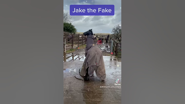 Fake horse name reveal!!