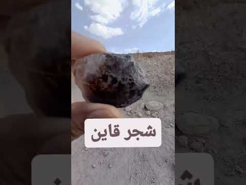 سلام عزیز های دل شجر منطقه بمرود قاین مرغوب ترین و زیبا ترین شجر ایران شناخته شده است سنگ