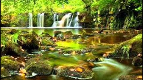 ت64 سورة التغابن للقارئ داود محداب من صلاة التراويح