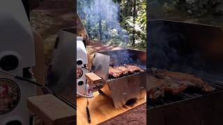 STOV Portable Gas Grill BBQ