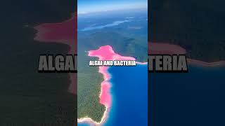 The Breathtaking Bubbles Of Lake Hillier