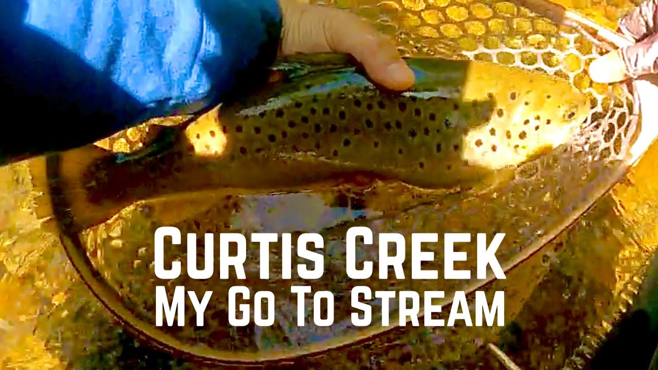 Small Stream Euro Nymphing in Western North Carolina