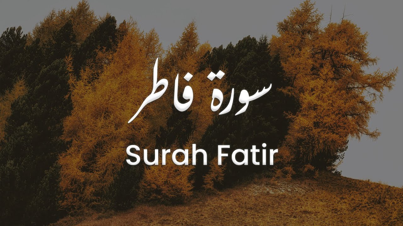 سورة فاطر للشيخ علي البراق | المصحف المرتل