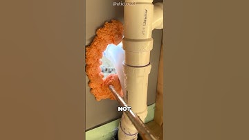 The Landlord Fix You Didn’t Expect (atictoc23)