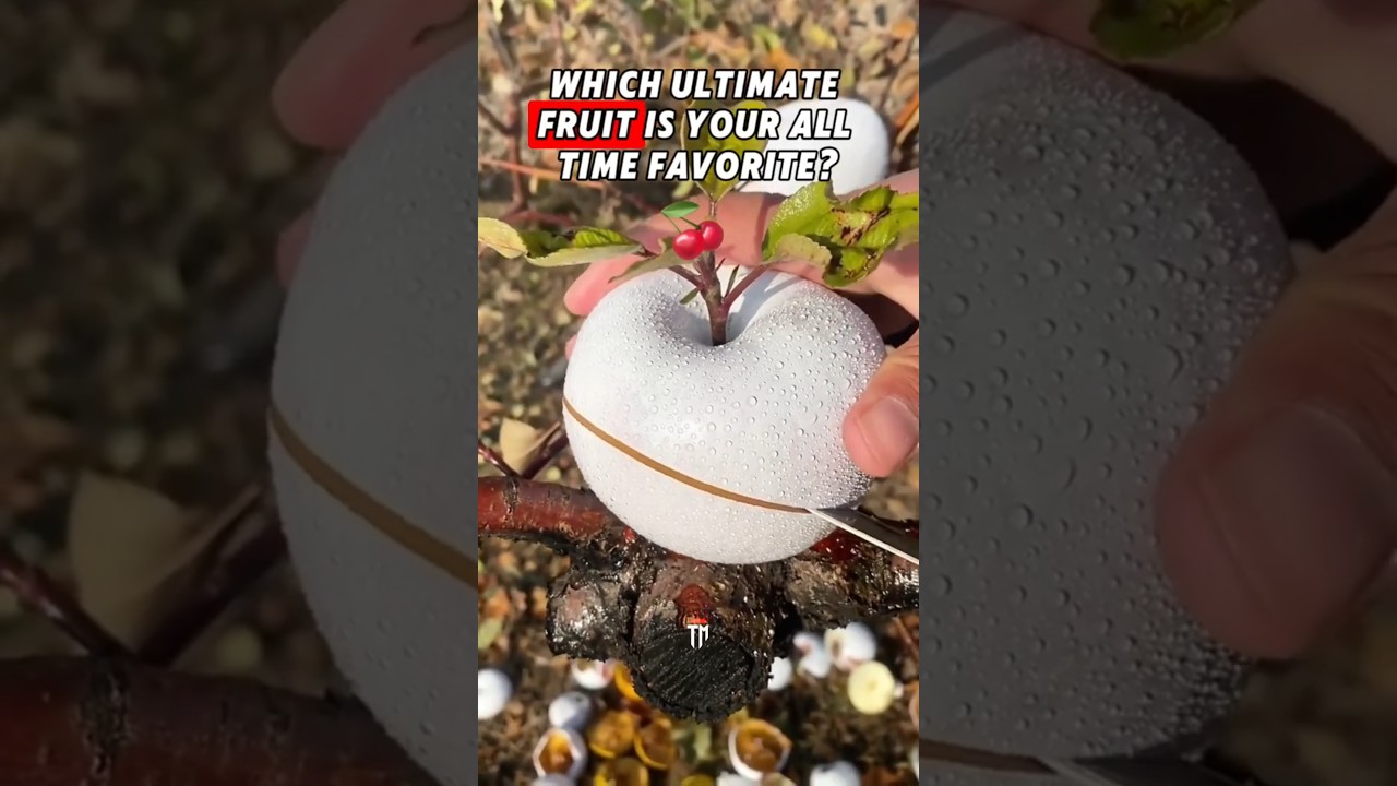 Which Ultimate Fruit Is Your All Time Favorite? 🍒
