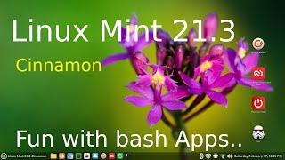 Linux Mint 21.3 - Cinnamon - Fun with Bash Apps screenshot 5