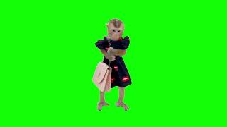 Green Screen Monkey In A Dress With A Handbag Meme
