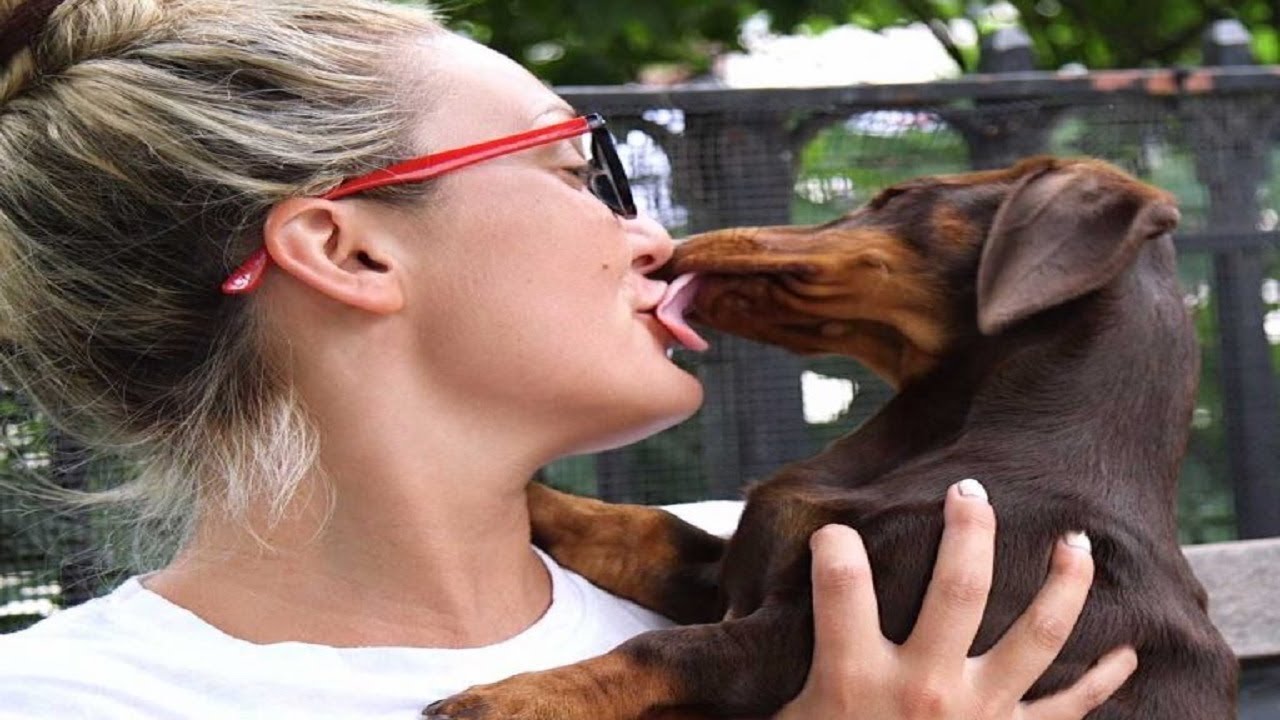 Here’s Truth About Dogs’ ‘Kisses’ And What’s Really Going On Inside